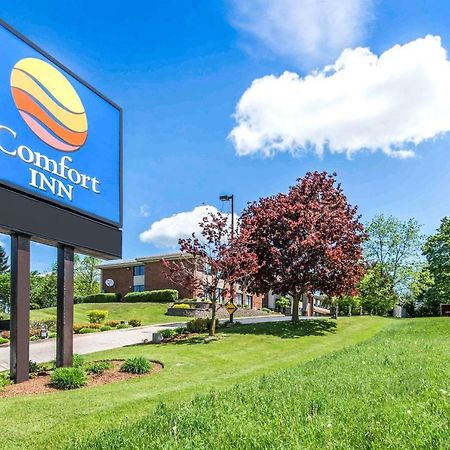 Comfort Inn Owen Sound Ngoại thất bức ảnh
