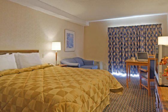 Comfort Inn Owen Sound Phòng bức ảnh